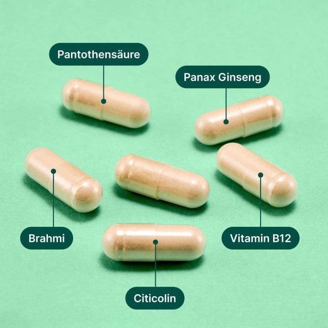 Braineffect Erfahrungen: Focus Kapseln Inhaltsstoffe